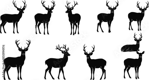 Set of black deer silhouettes with antlers wild buck and stag icons isolated on white background for hunting and nature design