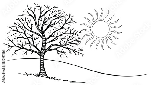  Winter Solstice Line Art
