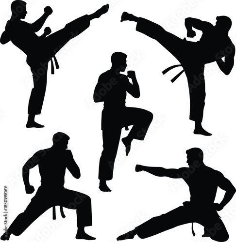 Karate Fighters Performing Kicks and Punches Silhouette Group Keywords: karate, martial arts