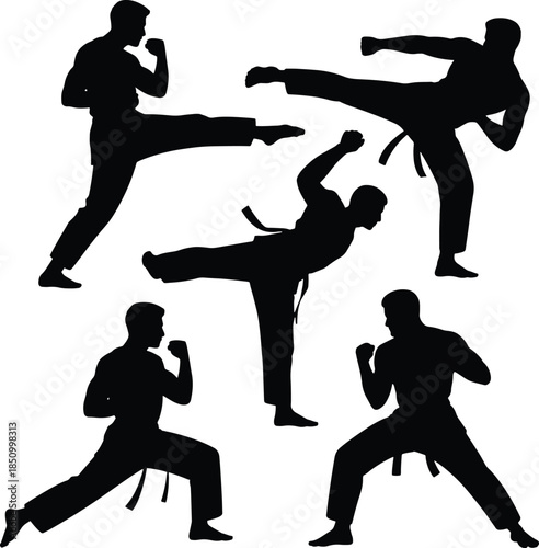 Karate Fighters in Stances and Kicks Silhouette Collection Keywords: karate, martial arts