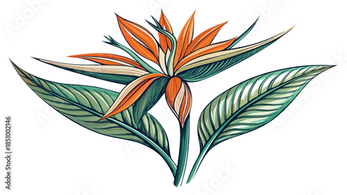 Very beautiful minimalist line drawing of a bird of paradise flower on a white background, showcasing refined botanical details, smooth strokes, and timeless floral elegance.