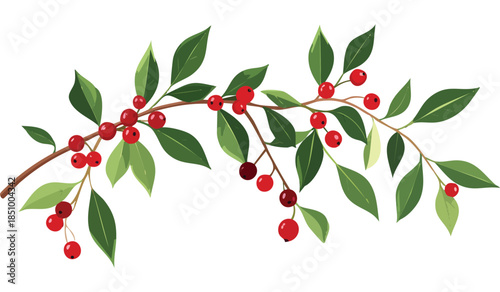 Hanging Mistletoe Branch with Berries Vector Illustration