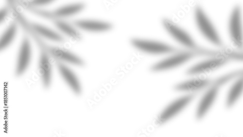 Realistic natural tree leaves shadow overlay effects on wall. Tropical tree branches and leaves blur and gray shadow overlay effect for photo interior backdrop studio mockup. Vector illustration.