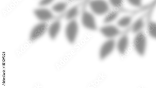 Realistic natural tree leaves shadow overlay effects on wall. Tropical tree branches and leaves blur and gray shadow overlay effect for photo interior backdrop studio mockup. Vector illustration.