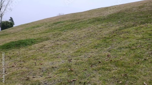 Neglected Withered Lawn with Dry Overgrown Grass