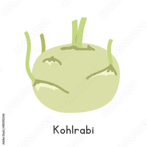 Kohlrabi Flat Cartoon Vector Illustration Isolated on White Background