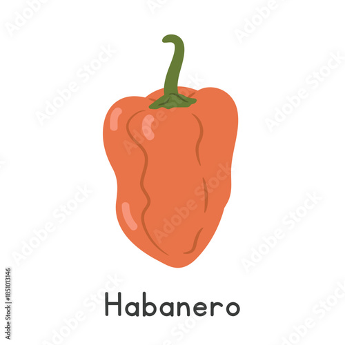Habanero Pepper Flat Cartoon Vector Illustration Isolated on White Background