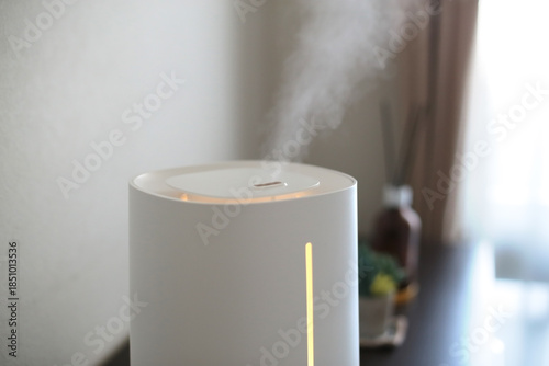 冬の時期に空気の乾燥から部屋を守る加湿器