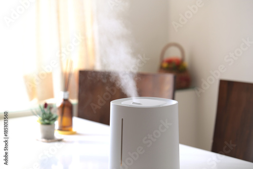 冬の時期に空気の乾燥から部屋を守る加湿器