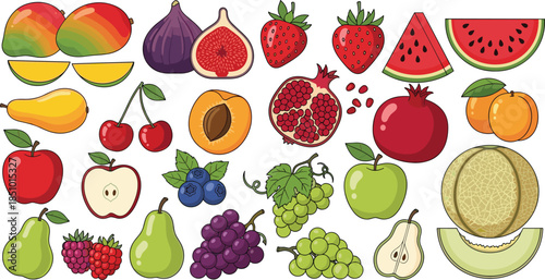 Colorful illustrated fruit collection with mango, fig, berries, melon, grapes, and more for food, nutrition, and vector design