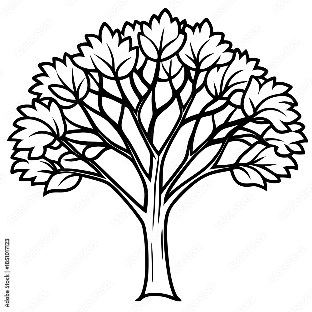 Obraz premium Locust tree line art vector