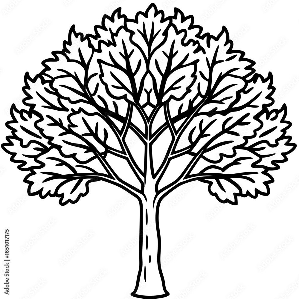Obraz premium Locust tree line art vector