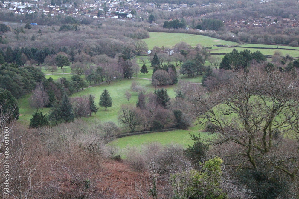 Naklejka premium landscape in the countryside