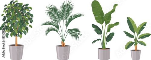 Modern indoor potted plants vector illustration set featuring tropical houseplants, palms, and decorative greenery isolated on white background