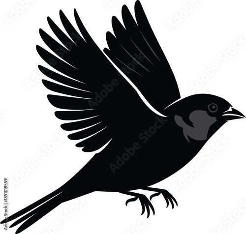 Bird silhouette, flying pose, open wings, black vector, feather detail, beak open, motion, wildlife, flight, minimal, contrast