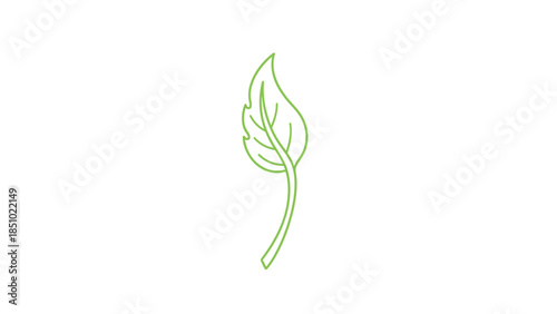 Simple Line Art of a Single Green Leaf with Stem.