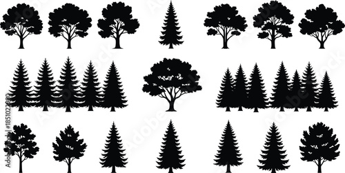 Collection of black tree silhouettes featuring various pine fir and deciduous oak species isolated on a clean white background.