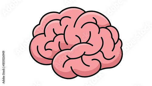 Stylized Pink Brain Illustration with Detailed Gyrus and Sulcus.