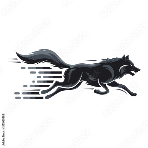 Black and white Wolf and black panther illustration vector