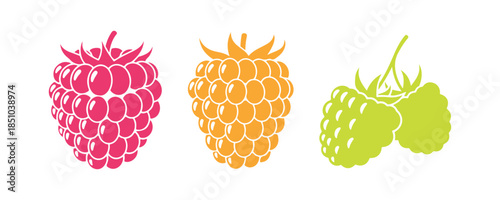 Three types of raspberry icons. Isolated vector symbol sign