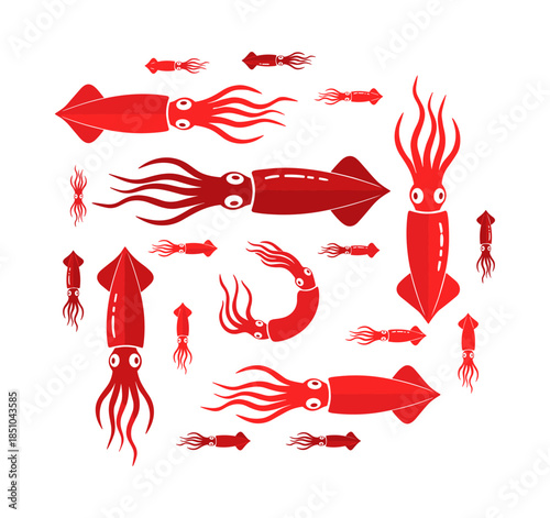 Red squid marine life pattern vector illustration