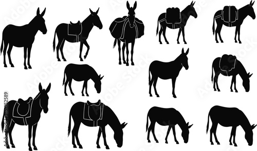 Set of donkey silhouettes in various poses with saddle and pack, farm animal mule illustration collection isolated on white background