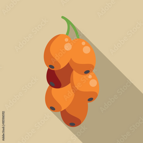 Sea buckthorn berries flat vector illustration on a plain background