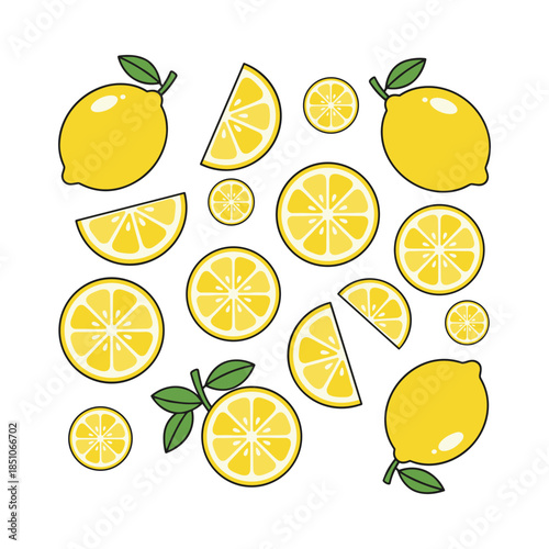 Fresh yellow lemon fruit slices and whole citrus pattern