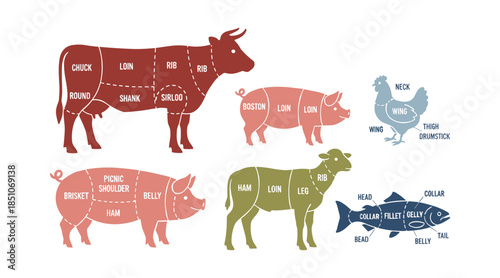 Butcher meat cut charts for various animals
