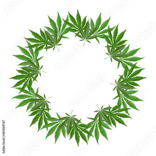 Vector cannabis leaf wreath in a dense circular ring on white background. Suitable for medical cannabis and cbd product packaging and labels for use.