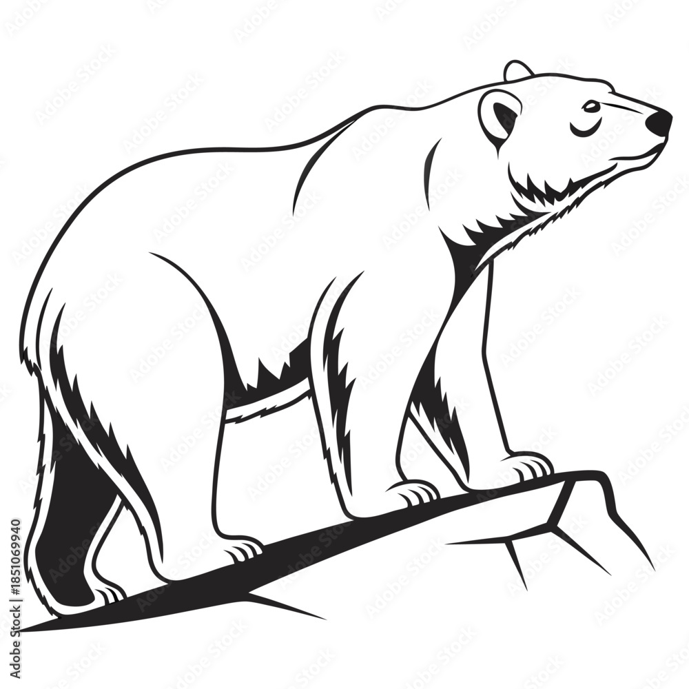Obraz premium polar bear vector illustration