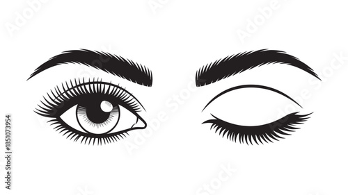 Beautiful female eyes: one open with long lashes and eyebrow, the other winking playfully