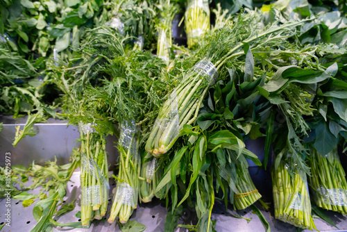 Fresh green onions and organic herbs grow in a healthy summer garden, providing raw ingredients and leafy vegetables harvested directly from the farm market field