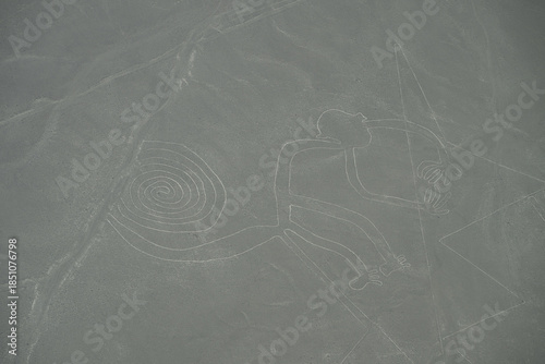 Photography Nazca lines monkey