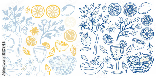 A decorative pattern featuring citrus fruits blossoms and refreshing drink elements