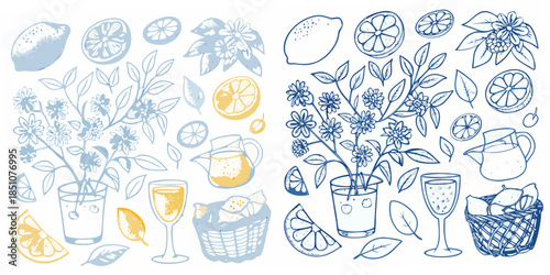 A delightful illustration of citrus fruits herbs and summer drinkware