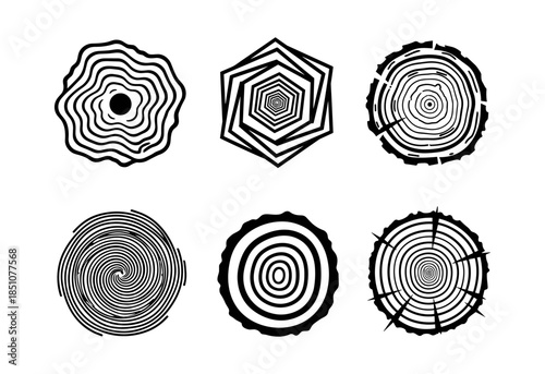 Abstract tree ring cross section growth patterns