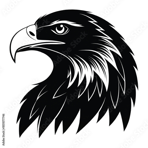 eagle silhouette, flying bird silhouette