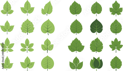 Green leaf shape icon collection featuring various botanical foliage styles and plant silhouettes illustrated in clean flat vector style isolated on white background for eco and nature design