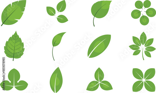 Green leaf icon collection with various botanical foliage shapes and plant symbols illustrated in clean flat vector style isolated on white background for eco and nature design