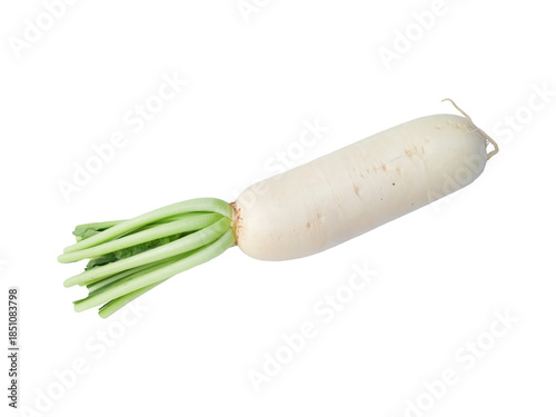 A single daikon radish stretches across a white backdrop, its smooth ivory skin and leafy green crown evoking freshness, simplicity, and the earthy charm of Asian cuisine.