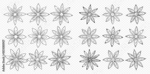 Set of hand drawn star anise spices in various angles and styles, black and white vector illustration.