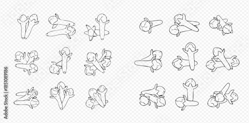 Set of hand-drawn clove spice buds in various arrangements, line art vector illustration for cooking and herbal medicine.