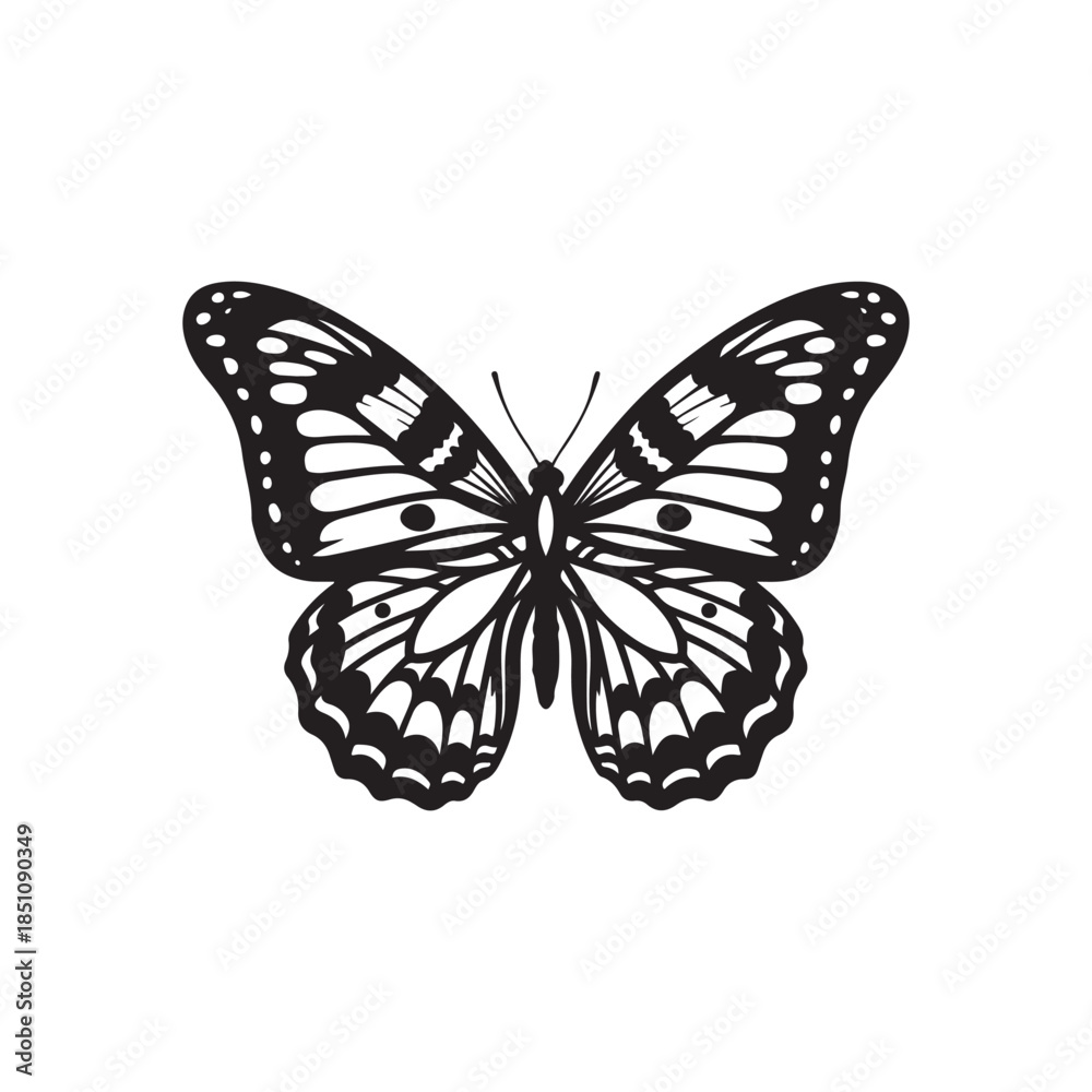 Fototapeta premium Beautiful butterfly illustration on white background