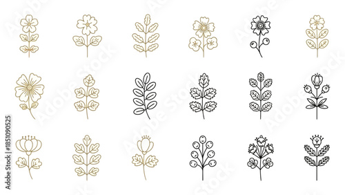 Folk Botanical Line Icon Vector Set Elegant Wedding Suite Elements