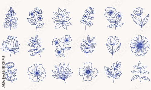vector set of blue flowers