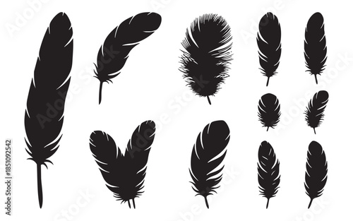 Bird Feather Silhouette Set