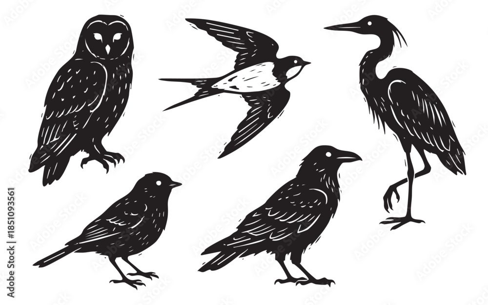 Obraz premium Diverse Wild Bird Silhouettes