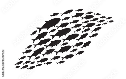 Fish Swimming Silhouette