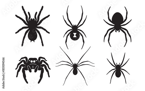 Spider Arachnid Insect Silhouette Horror Set